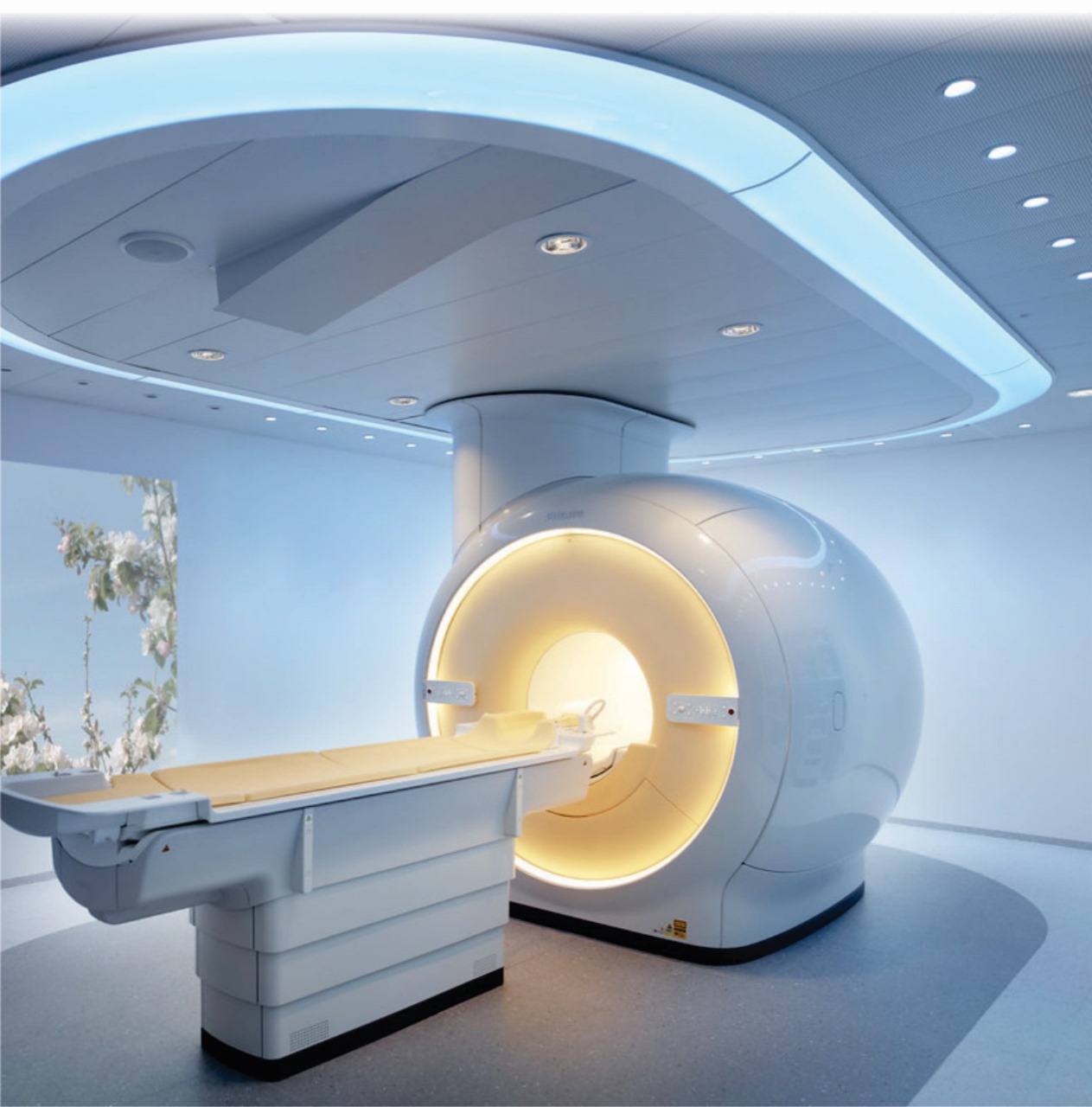 WhatsApp Image 2024-11-30 at 12.15.18 PM